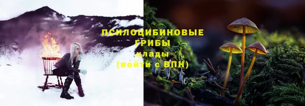 spice Каменногорск