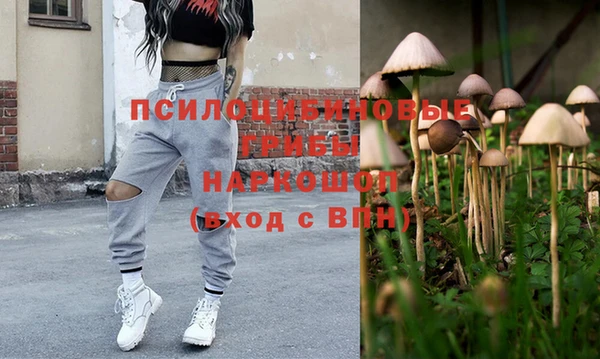 ПСИЛОЦИБИНОВЫЕ ГРИБЫ Ессентукская