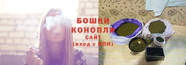 spice Каменногорск